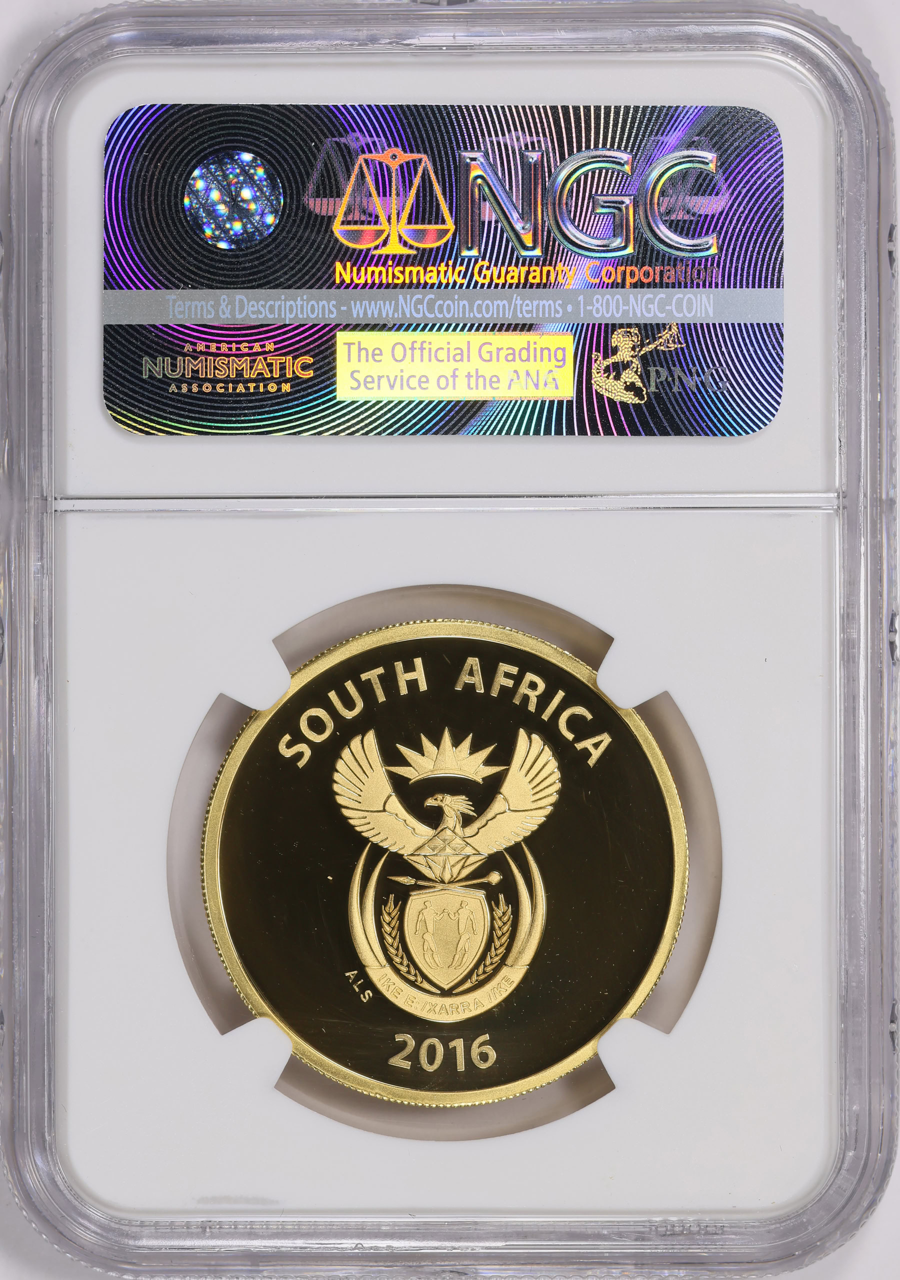 South Africa 2016 Gold 200 Rand Big Cats Series, Cheetah in Case of ...