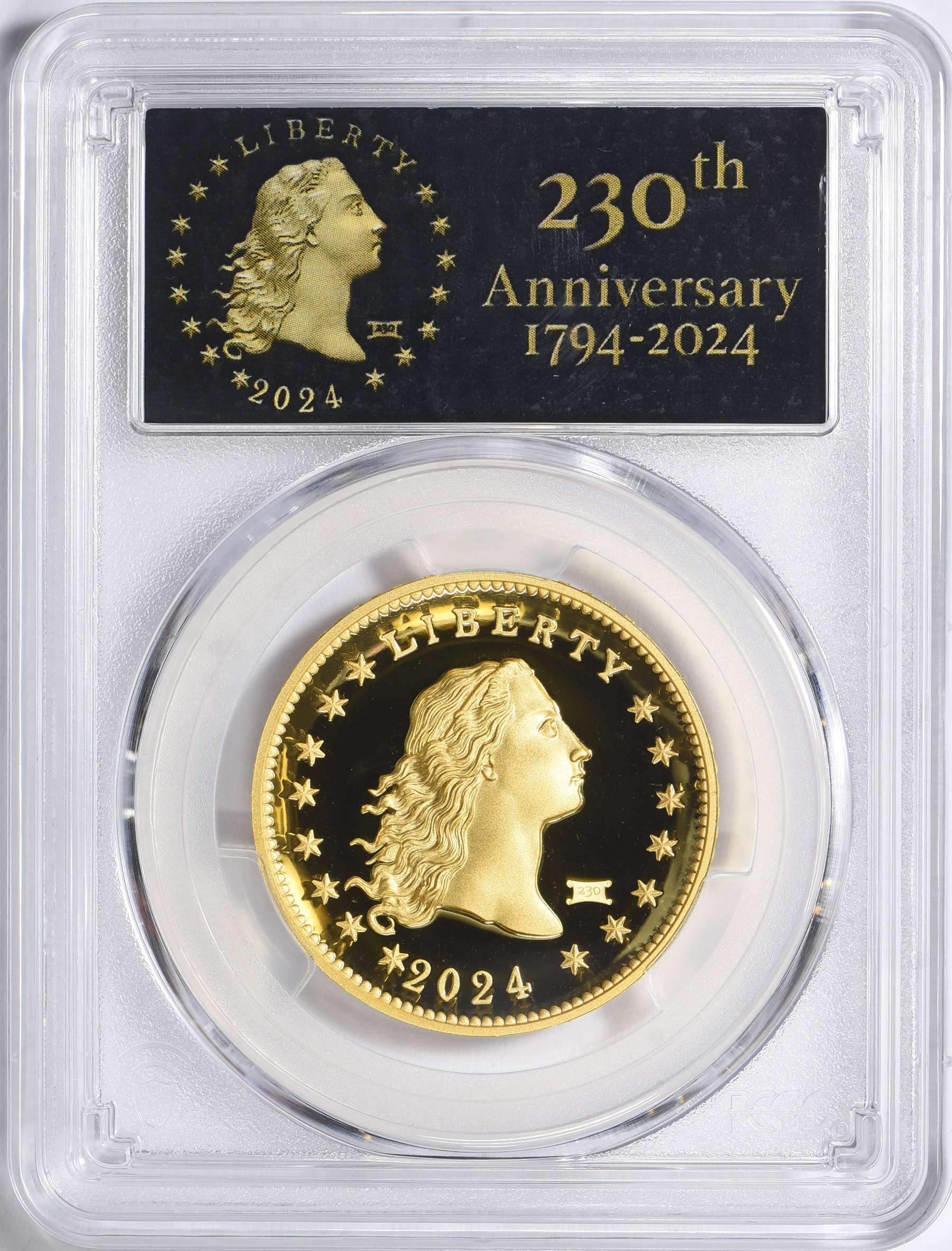 2024 Flowing Hair High Relief Gold Dollar 230th Anniversary Privy