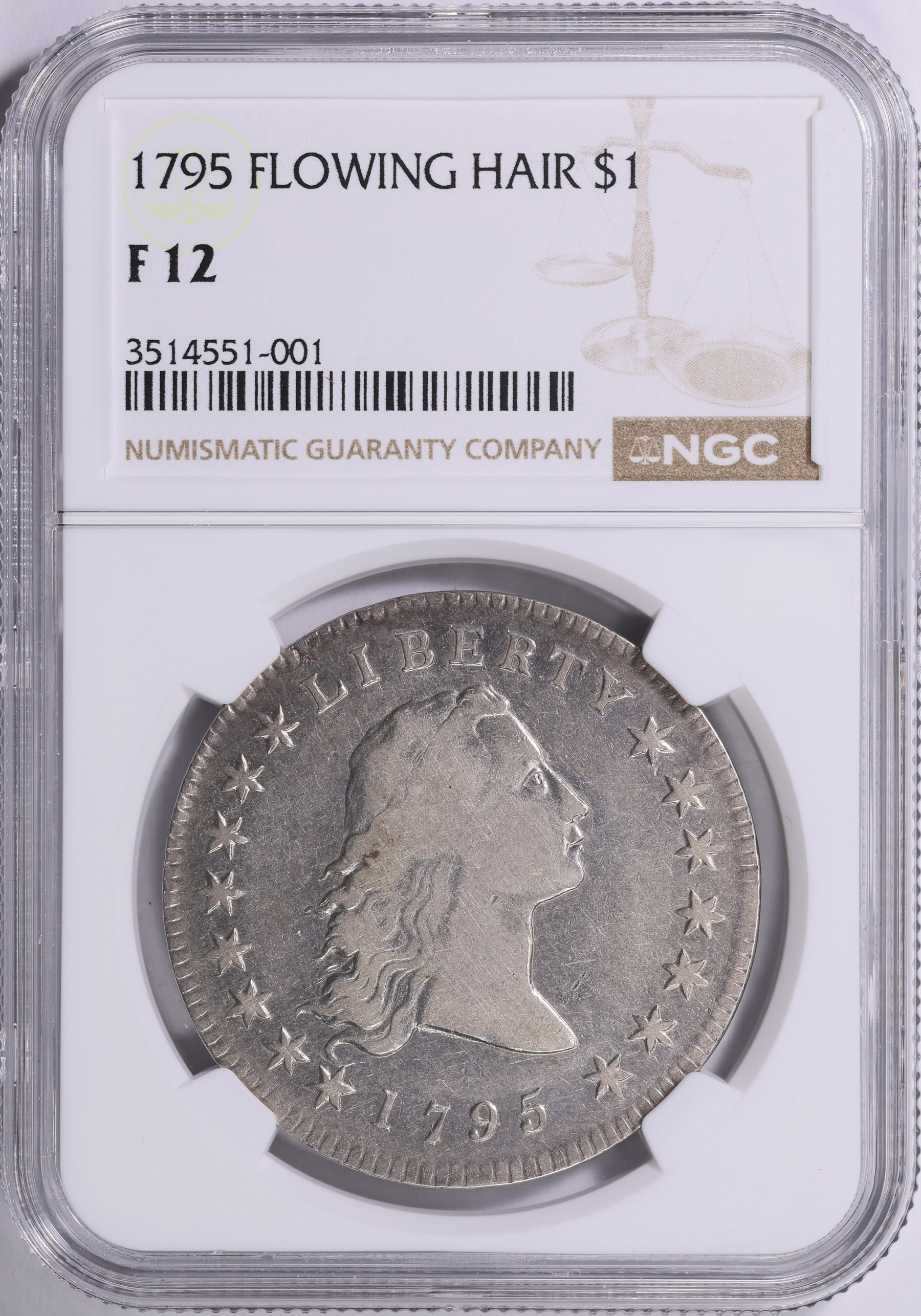 1795 Flowing Hair Silver Dollar 2 Leaves NGC F-12 (Item 1917050 ...