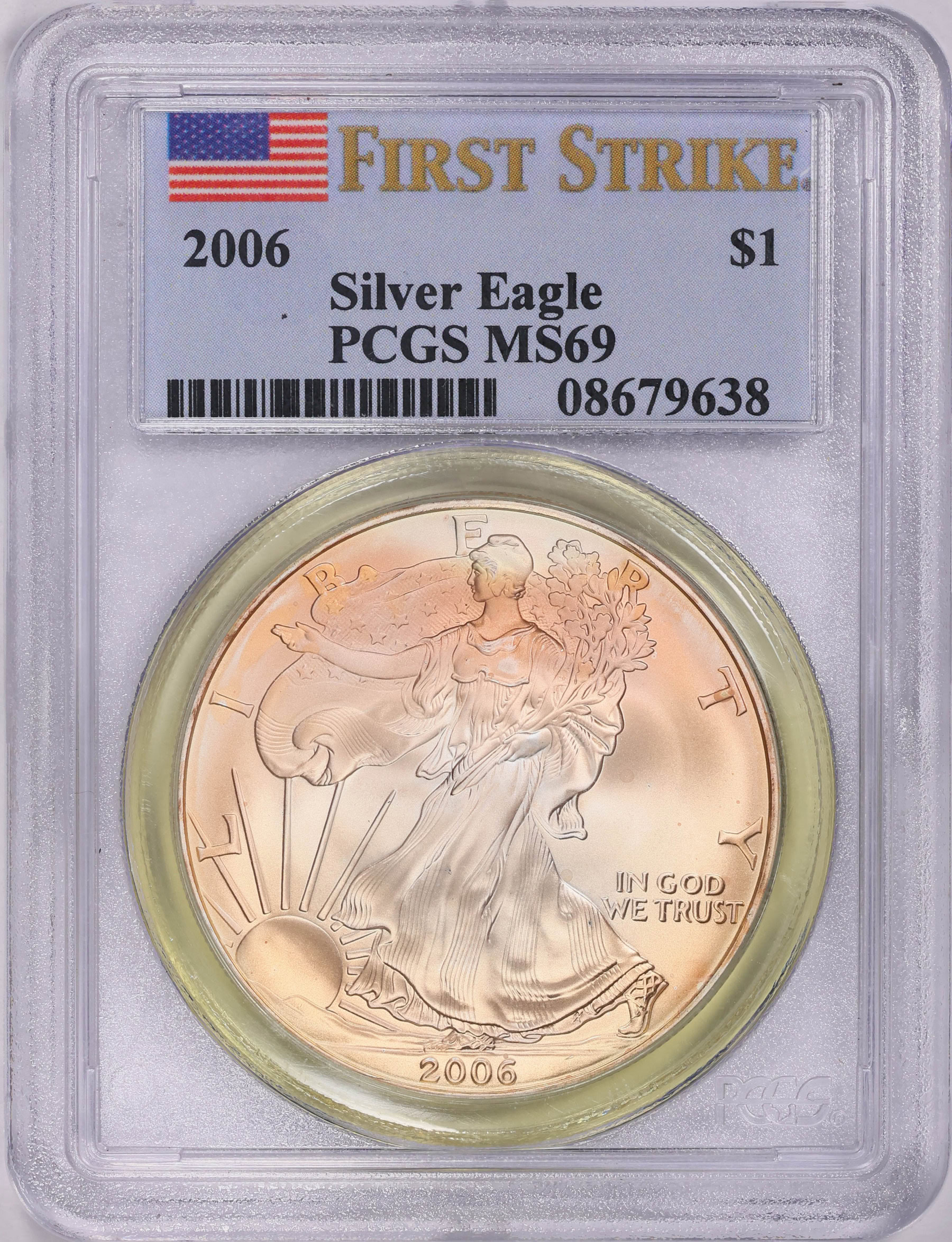 アメリカ イーグルコイン 銀貨 PCGS SP69 アメリカ PCGS MS69 2007-W 1