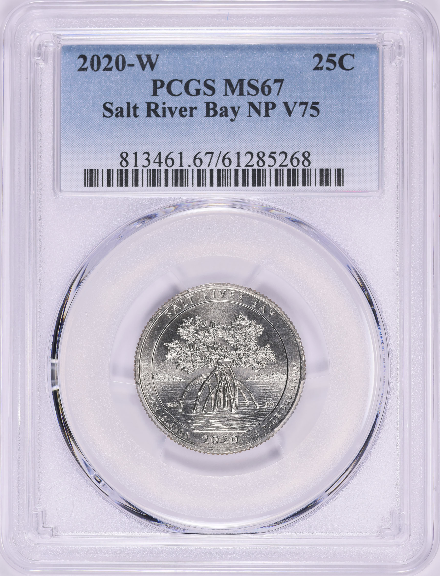2020-W America the Beautiful Quarter Salt River National Park V75