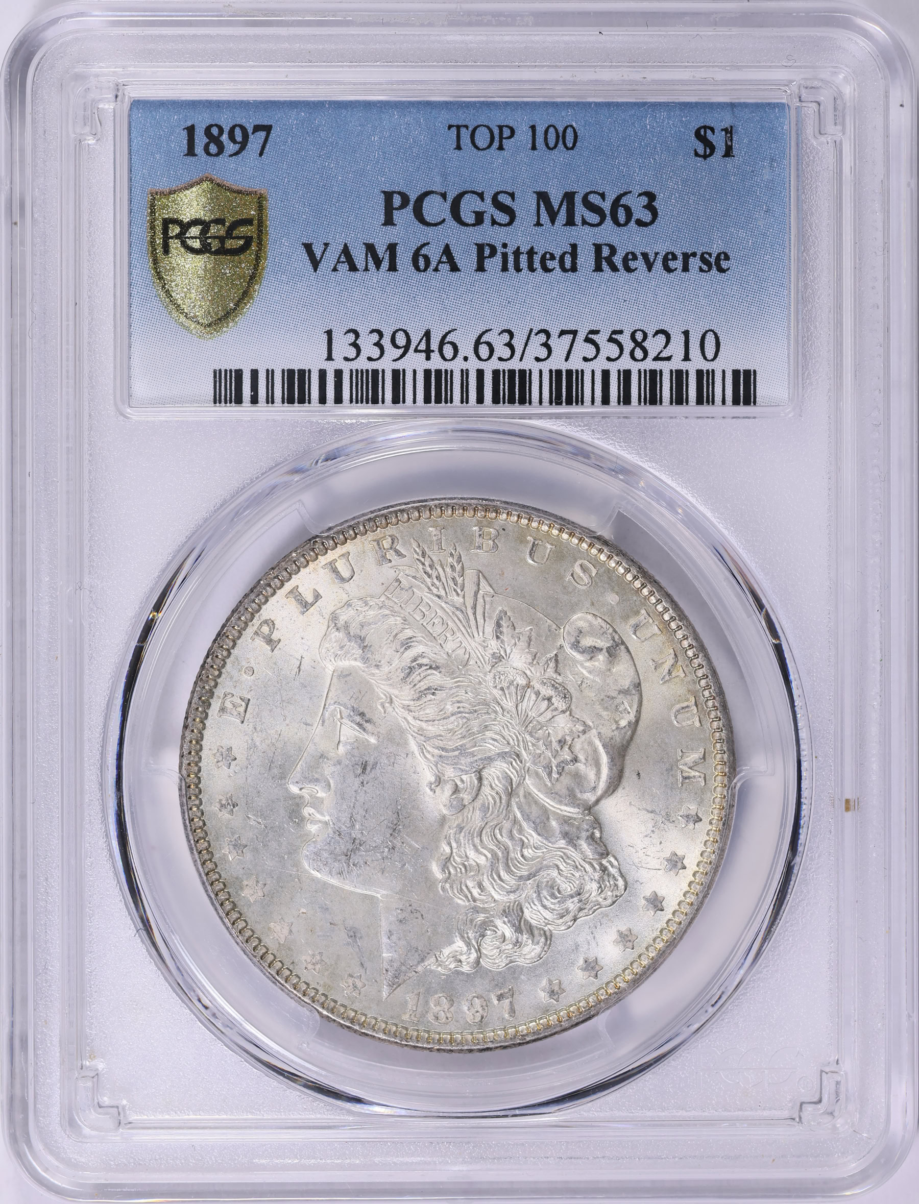 1897 Morgan Silver Dollar Pitted Reverse VAM-6A *Top 100* PCGS MS