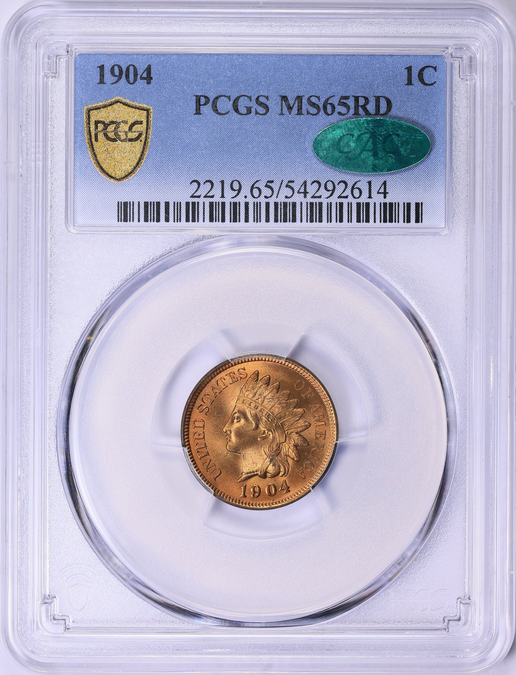 1904 Indian Cent PCGS MS-65 RD (CAC Green) (Item 2004586