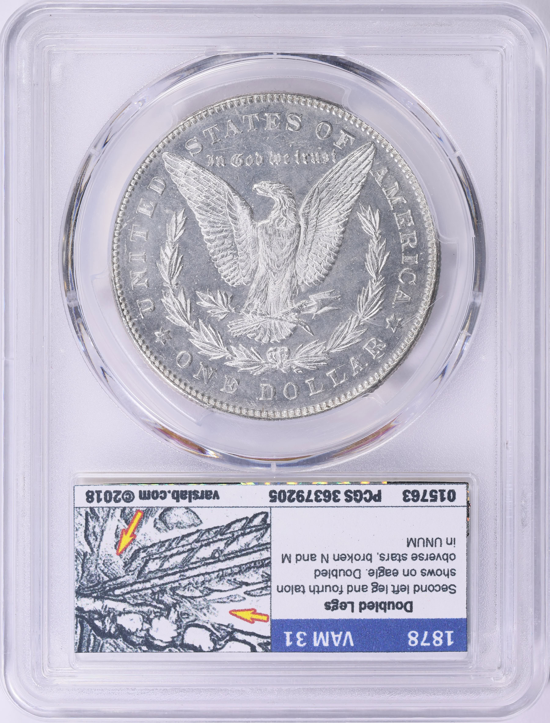 1878 Morgan Silver Dollar 7 Tailfeathers, Reverse of 1878 PCGS MS
