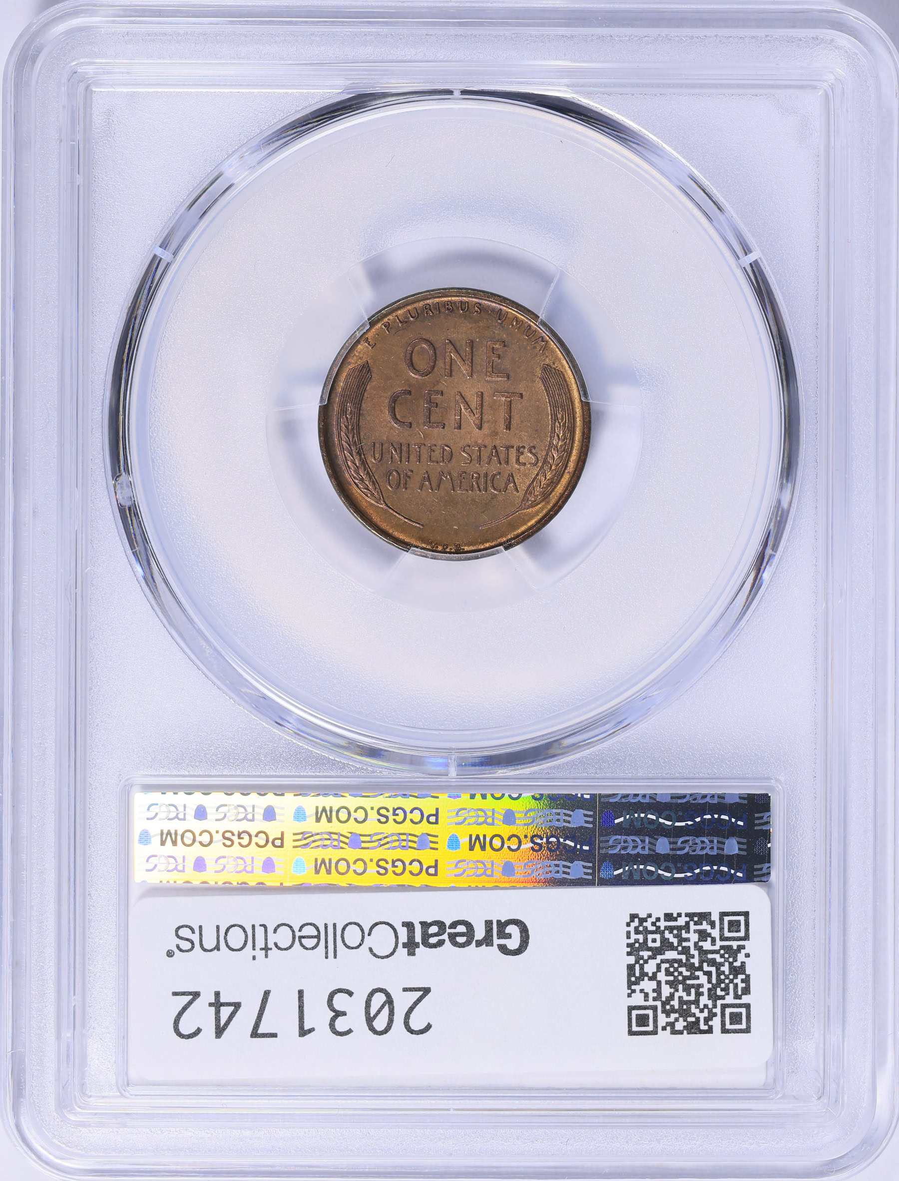 1909-S-VDB-Lincoln-Cent--Questionable-Color-Or-A-Woody