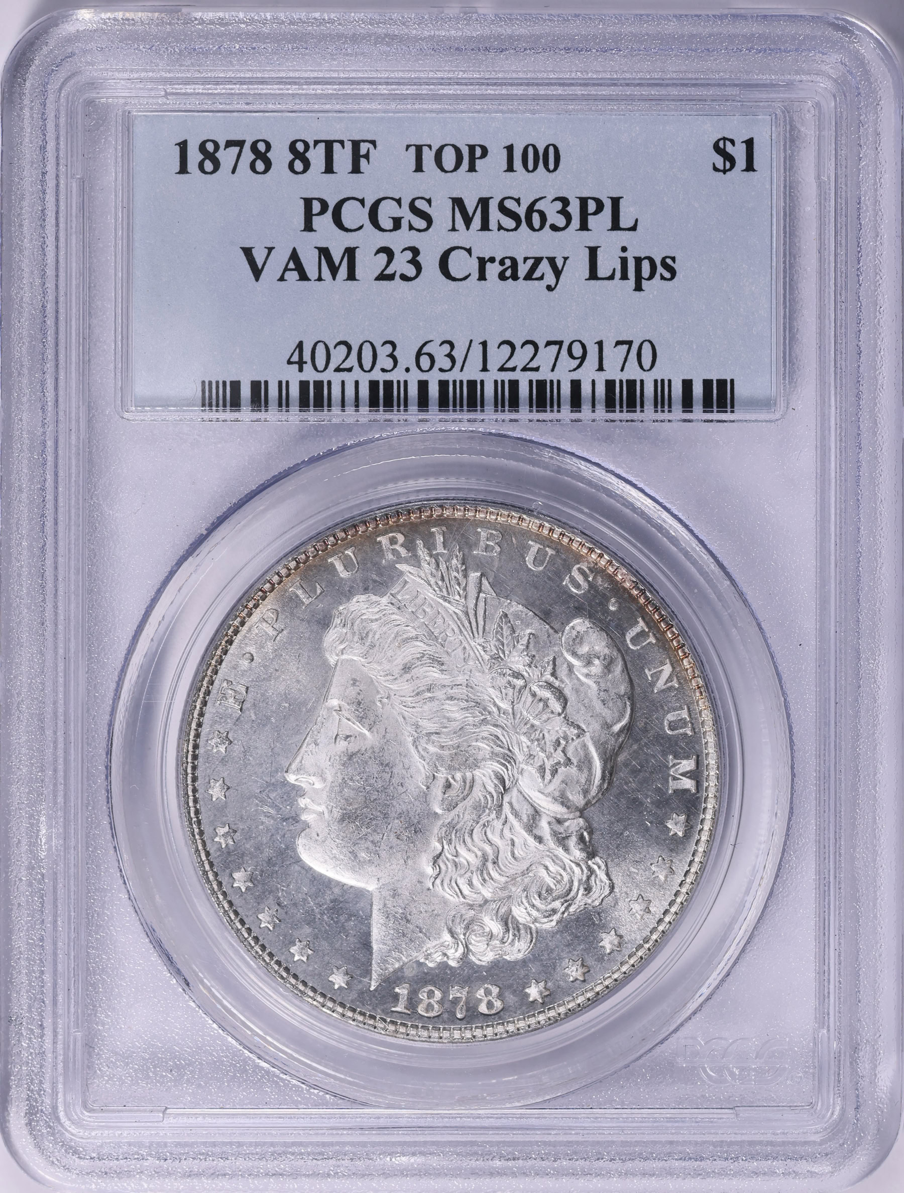 1878 8TF Morgan Silver Dollar Crazy Lips VAM-23 *Top 100* PCGS MS