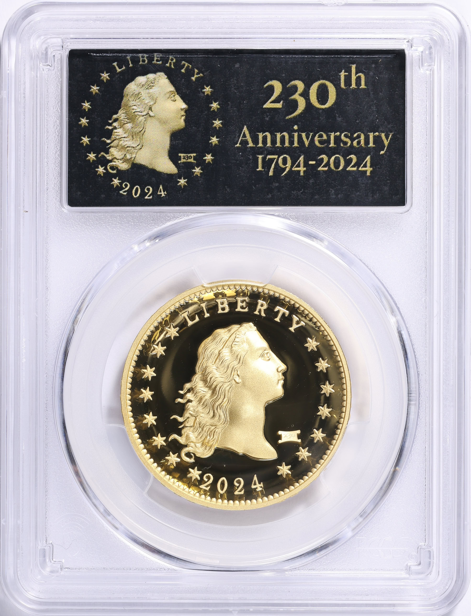 2024 Flowing Hair High Relief Gold Dollar 230th Anniversary Privy