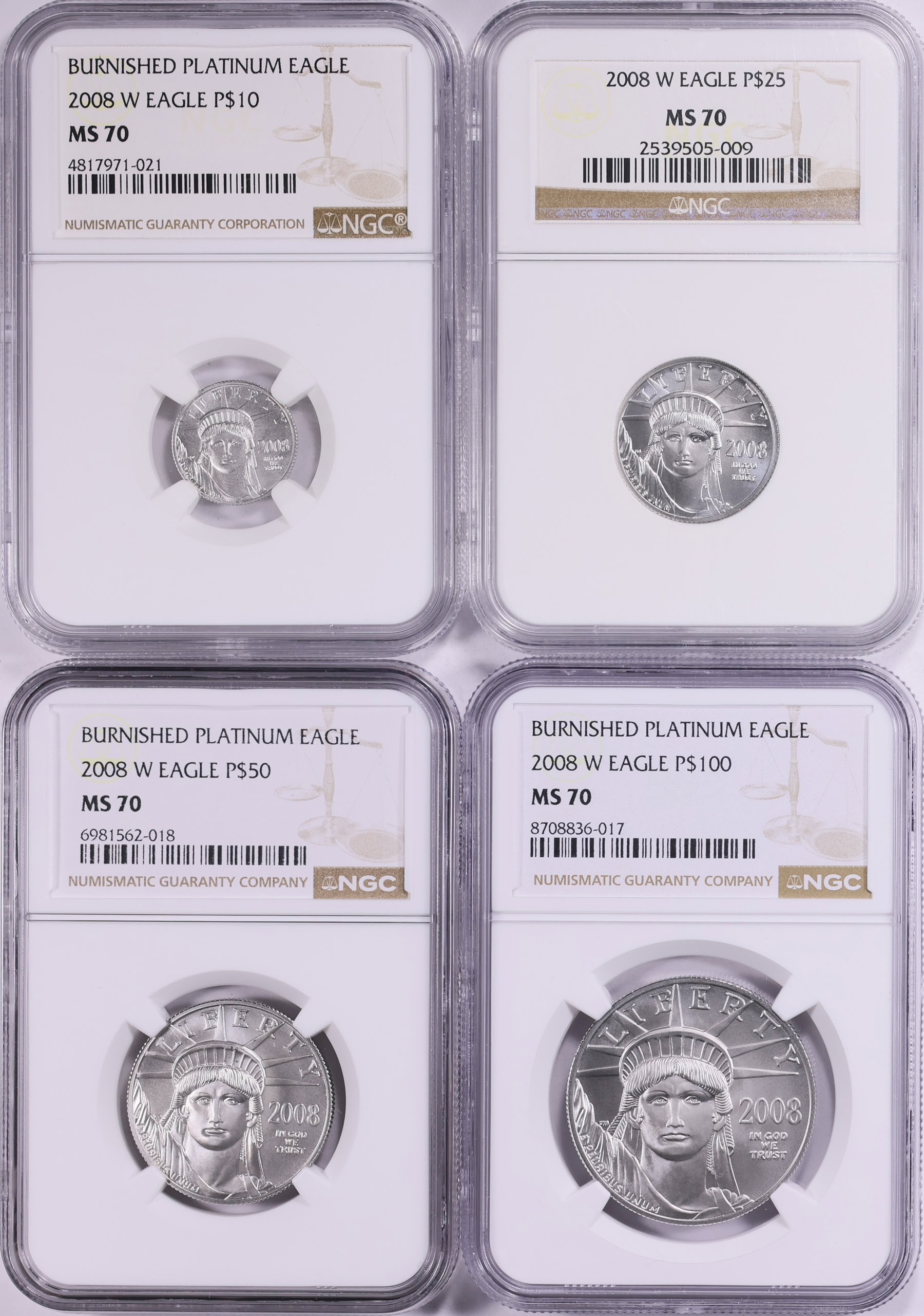 2008-W $10, $25, $50 and $100 Platinum American Eagle Set