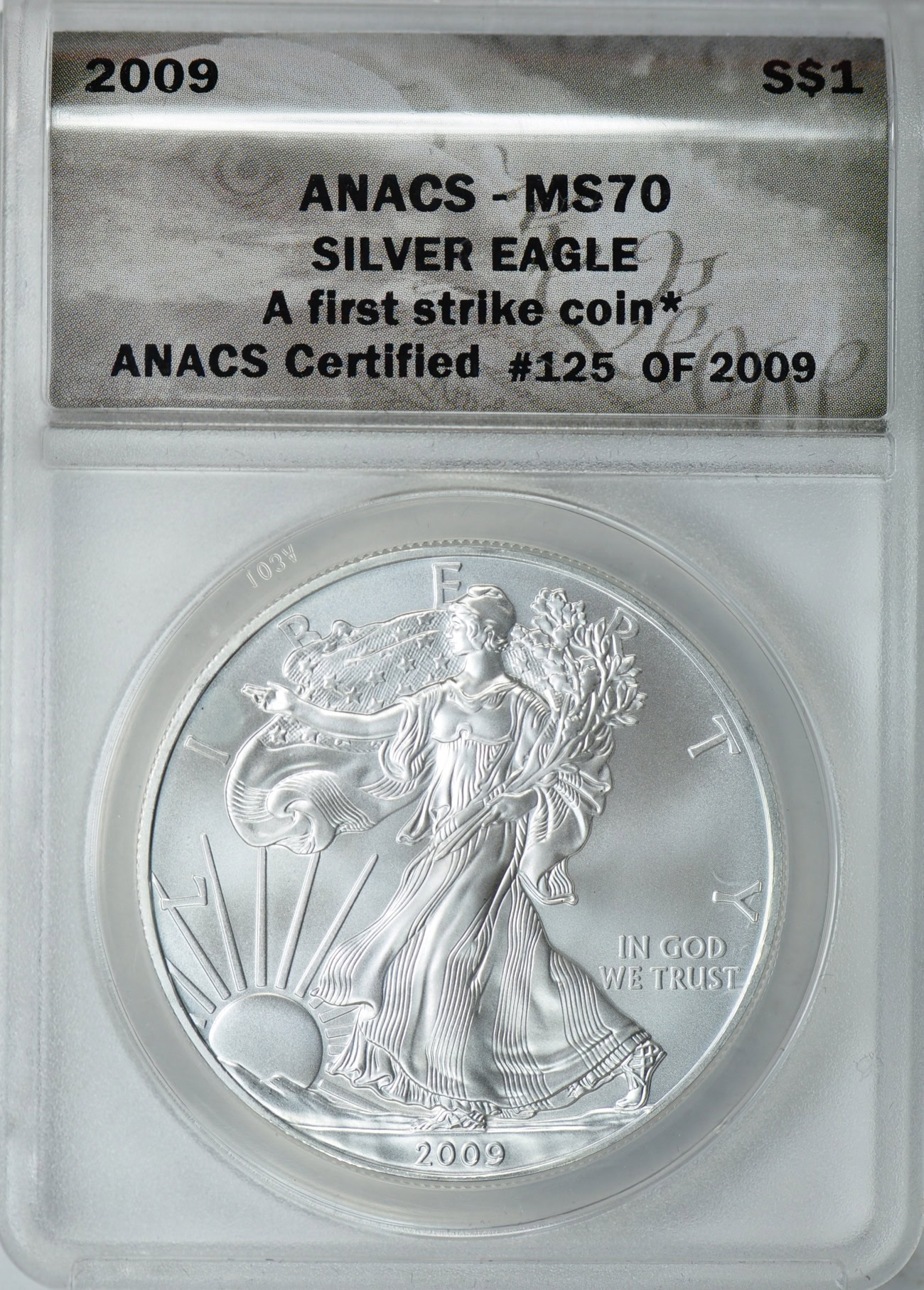 ゆ*み様 2020&2008アメリカイーグル銀貨2枚セット PCGS ANACS 2009 $1 Silver Eagle First Strike ANACS MS-70 (Black Eagle Label