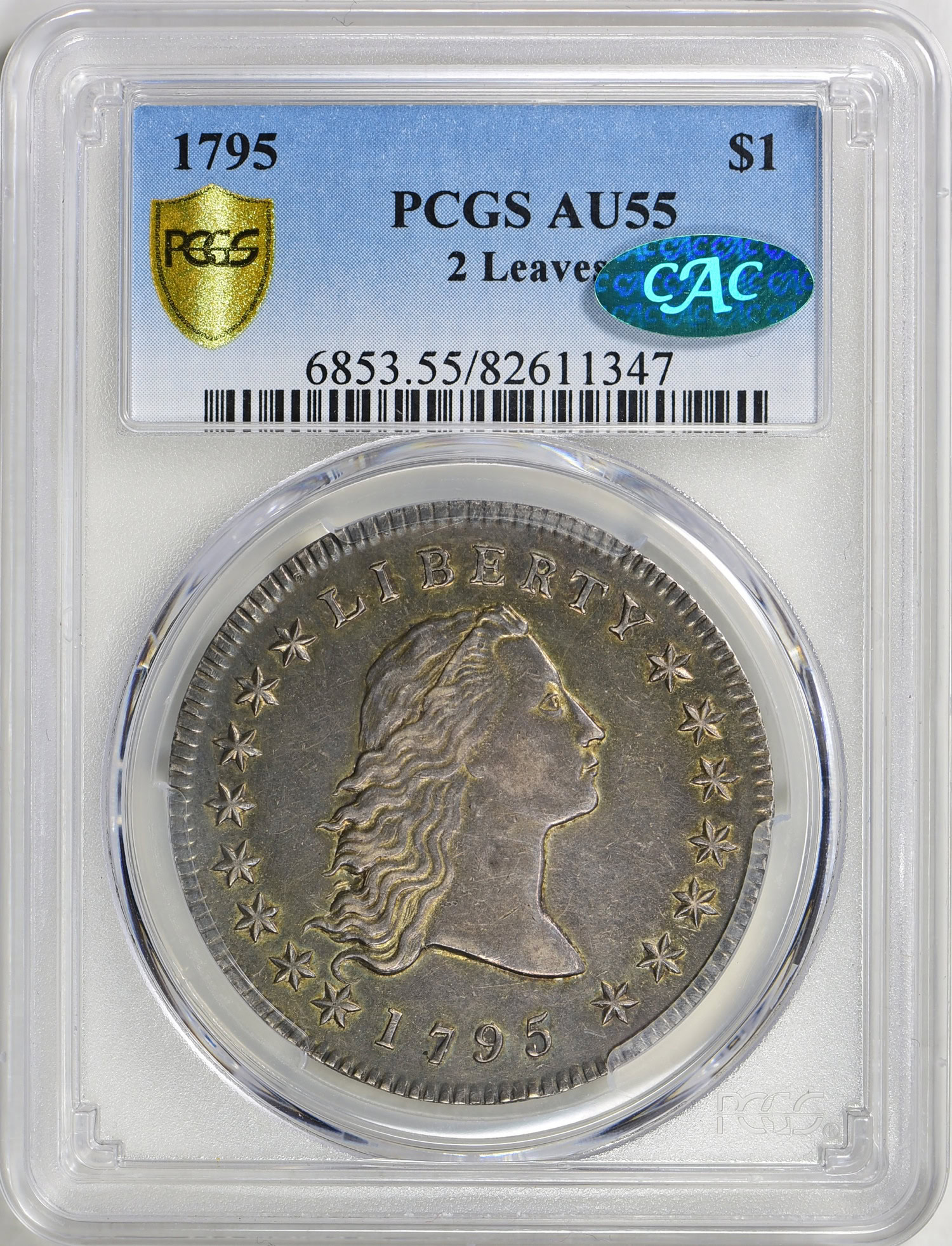 1795 Flowing Hair Silver Dollar 2 Leaves PCGS AU-55 CAC (Item