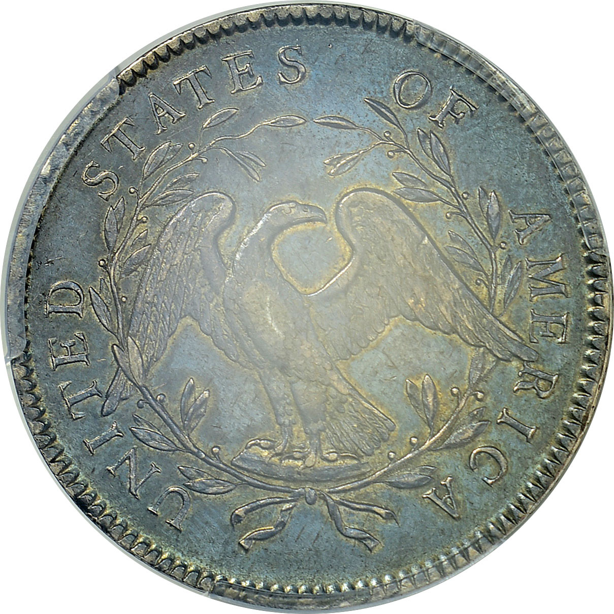 【希少】海外古銭　アメリカ　オーストラリア 1795 Flowing Hair Silver Dollar 2 Leaves PCGS AU-55 CAC (Item