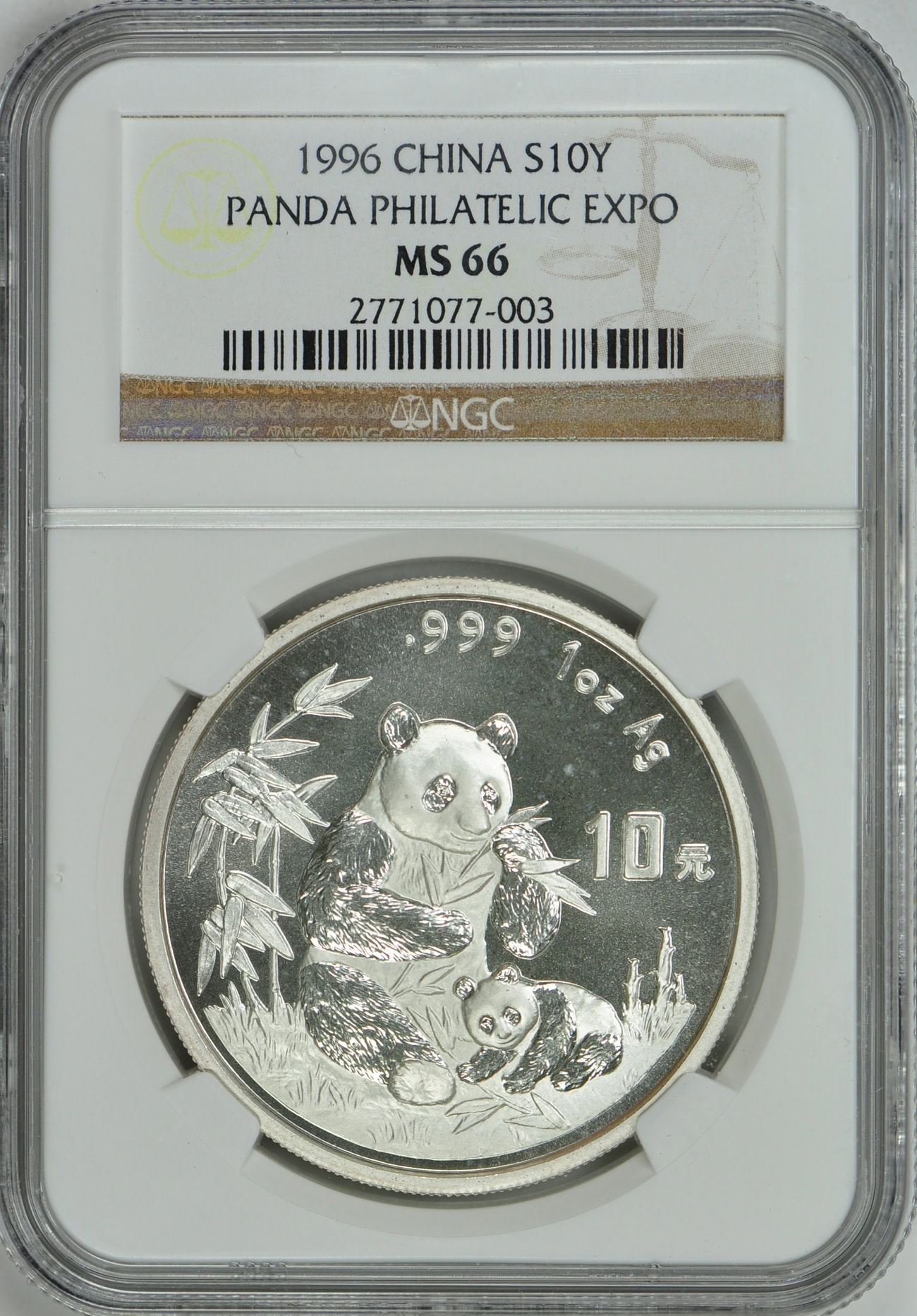 China 1996 Silver 10 Yuan Panda Philatelic Expo NGC MS-66 | NGC