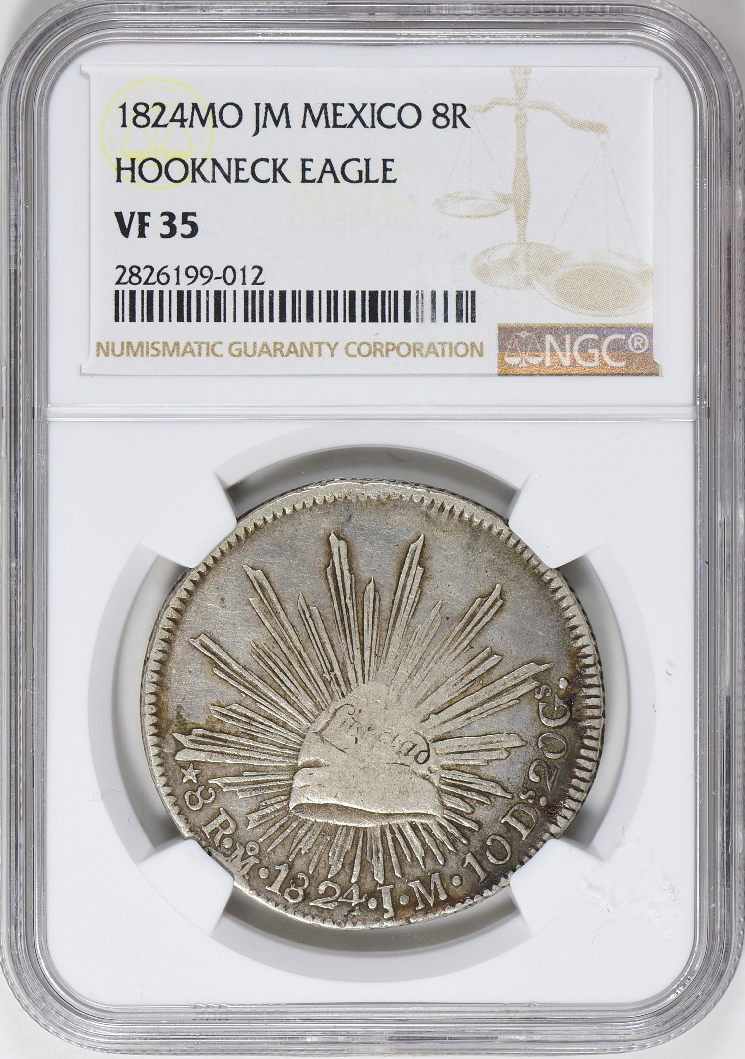 Mexico 1824-Mo JM Silver 8 Reales Hookneck Eagle KM-A376.2 NGC VF