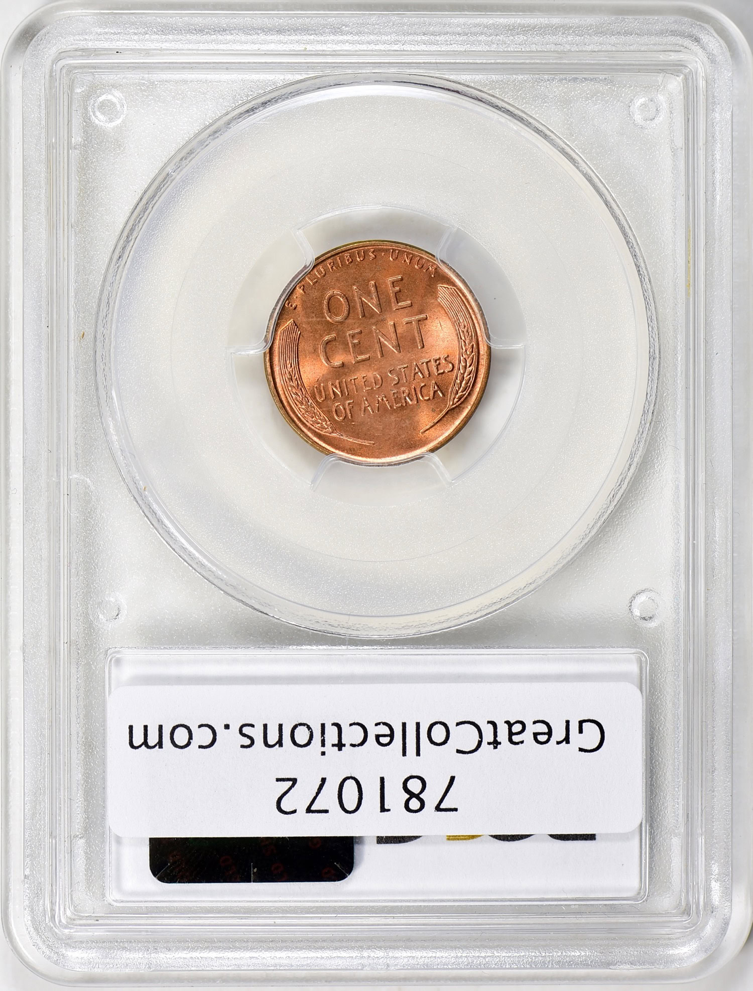1955 Lincoln Cent Doubled Die Obverse PCGS MS-65+ RD (CAC Green