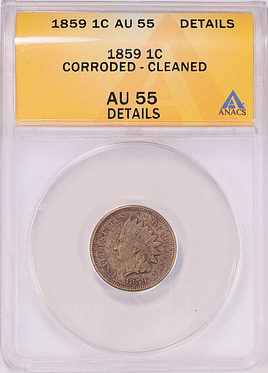 listing 169998 image