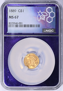 1889 Indian Princess Gold Dollar NGC MS-67 (Purple Bee Frame
