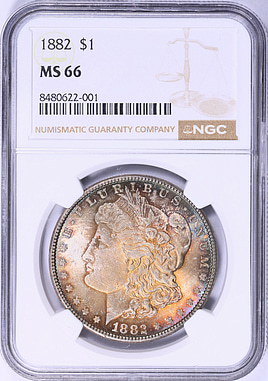 【ご確認用（1882）】 1882 Morgan Silver Dollar NGC MS-66 (Toned) (Item 2053842