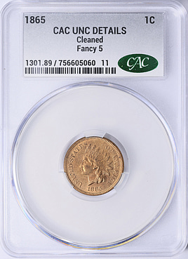 listing 165431 image