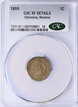 listing 165438 image