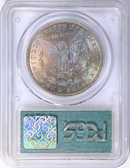 1882-CC Morgan Silver Dollar PCGS MS-66 (CAC Green) OGH (Doily