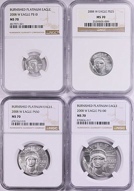 2008-W $10, $25, $50 and $100 Platinum American Eagle Set
