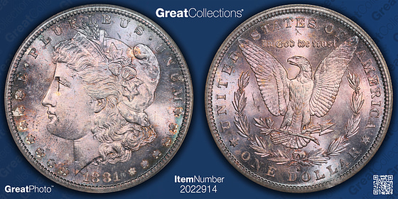 1881-S Morgan Silver Dollar NGC MS-64 (CAC Green) (Toned) OH (Item